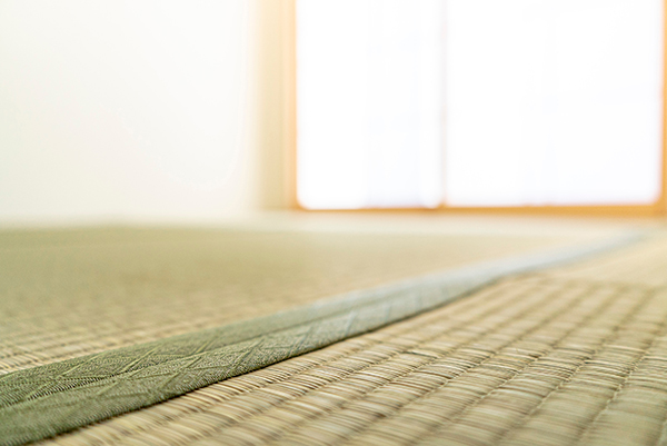 京間と江戸間はどう違う?修繕前に知っておきたい畳の規格